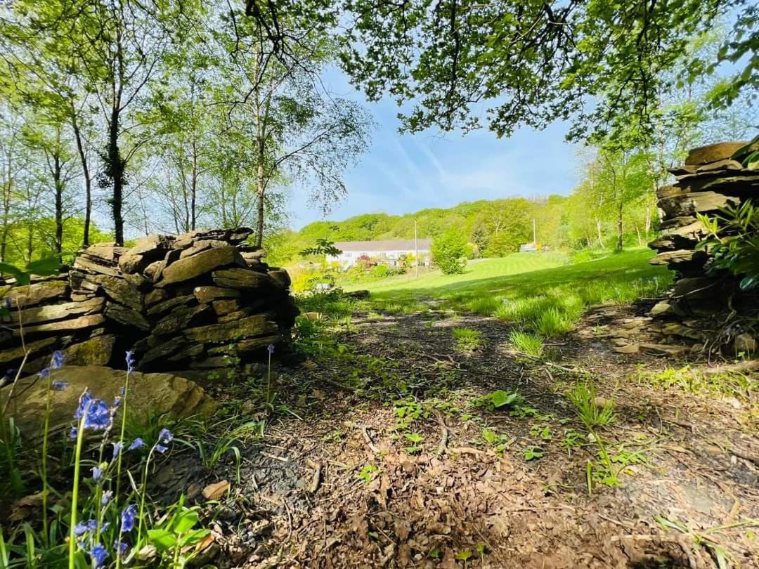 Cwmbach Guest House Neath Szoba fotó